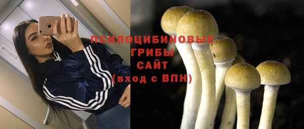 крисы Кулебаки