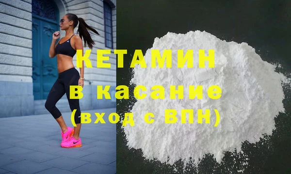 крисы Кулебаки